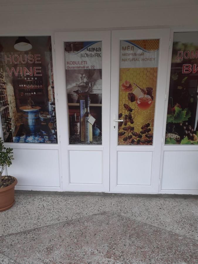 Mini Hotel On Guramishvili 22 科布列季 外观 照片