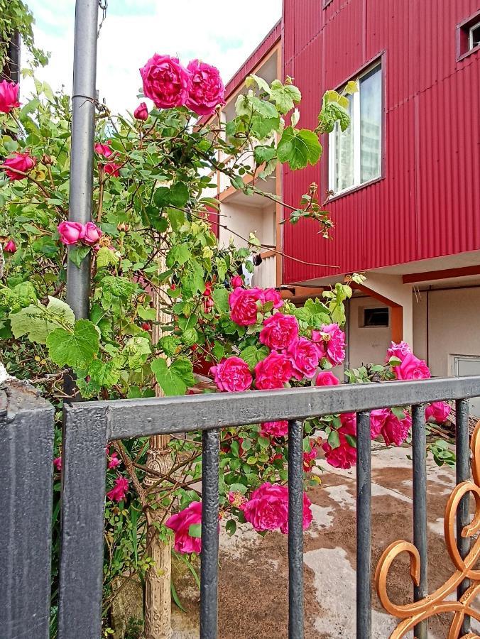 Mini Hotel On Guramishvili 22 科布列季 外观 照片